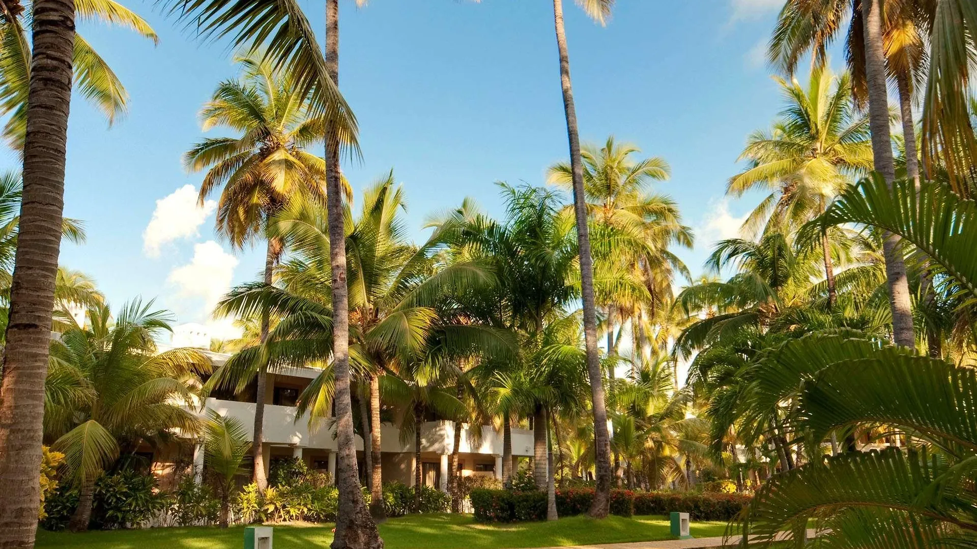 Melia Caribe Beach Resort Punta Cana 5*,  Dominican Republic