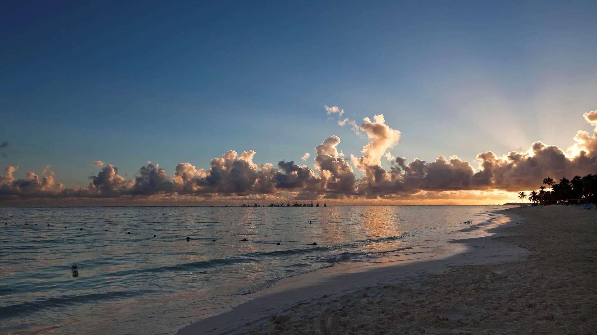 Melia Caribe Beach Resort Punta Cana